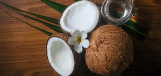 Die 4 Parfums mit Kokosnuss-Duft, denen Sie nicht widerstehen können