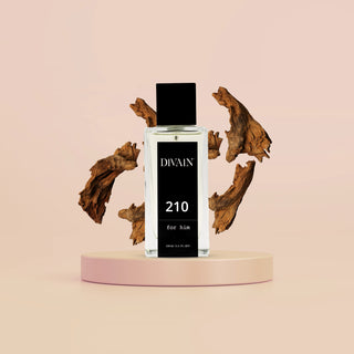 DIVAIN-210 | Parfümzwilling für Herren